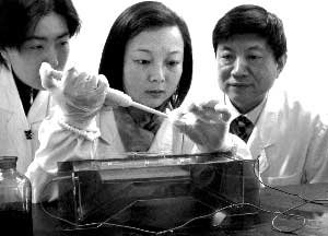 2002年12月23日,曹谊林教授(右一)和科研人员正在做实验。新华社记者 张耀智 摄